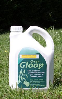 Sanitizzante Green Gloop