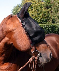 Ride Fly Free Mask